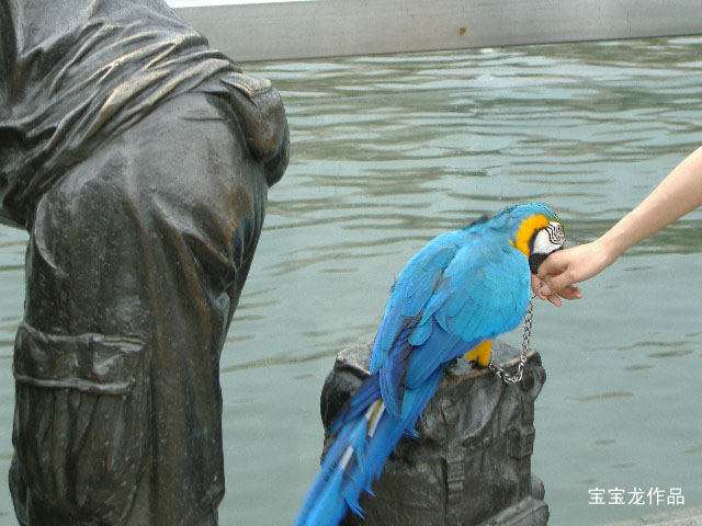 2006_0502_150144 拷贝.jpg