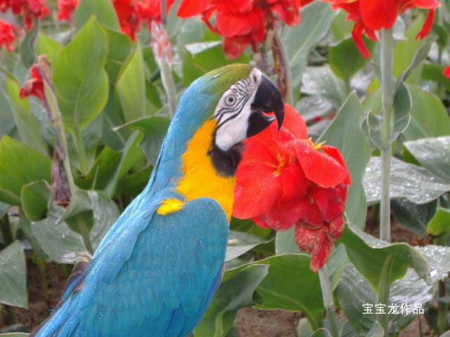2006_0502_153445 拷贝.jpg