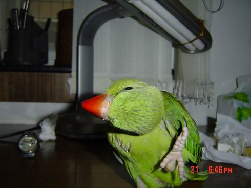 调整大小 DSC02952.JPG