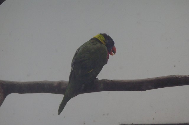 S73R0695.jpg
