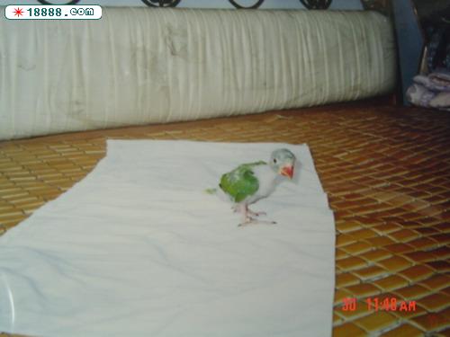 DSC01374.JPG