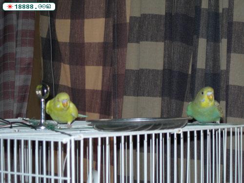 DSCN0323.jpg