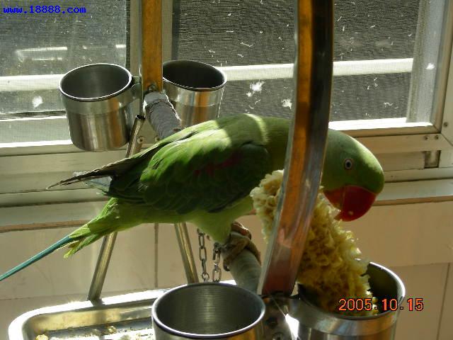 DSCN06910215.JPG