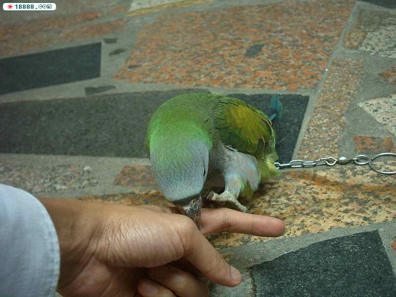 IMAG0945.jpg