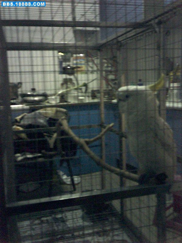 photo00002.JPG