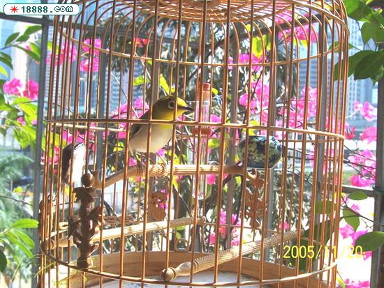 100_0356.jpg
