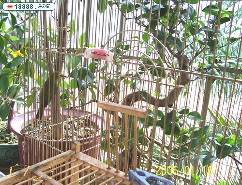 100_2845.jpg