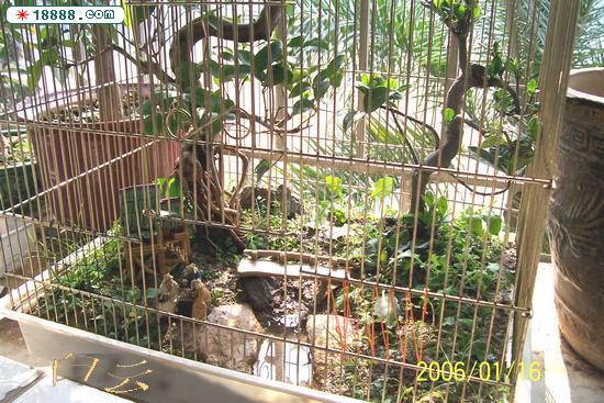 100_2838.jpg