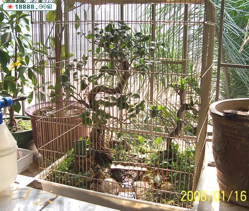100_2836.jpg