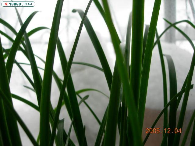 DSCN1889.jpg