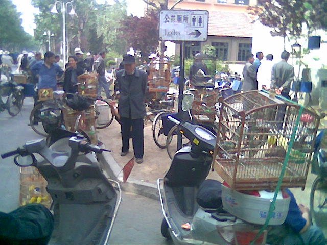 图像003人1.jpg