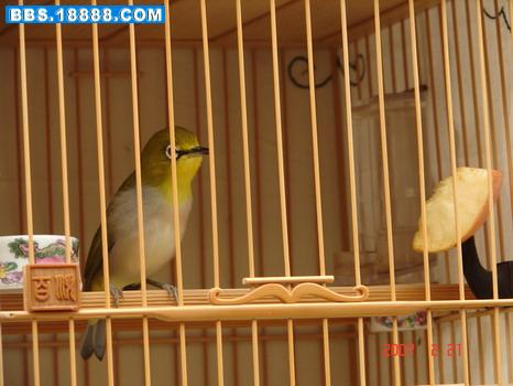 070219 219_缩小大小.jpg