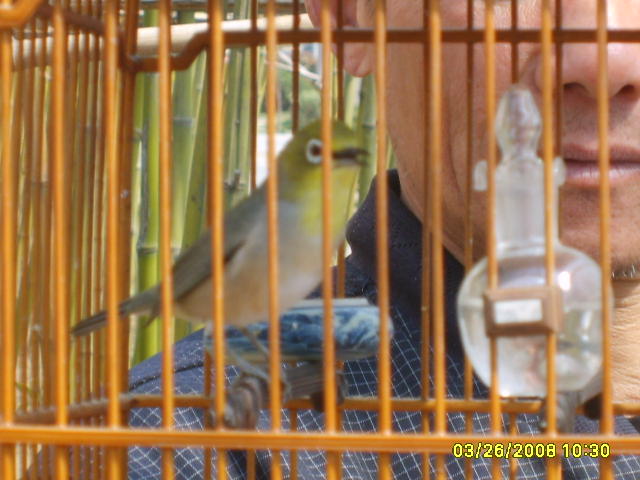S5001096.JPG