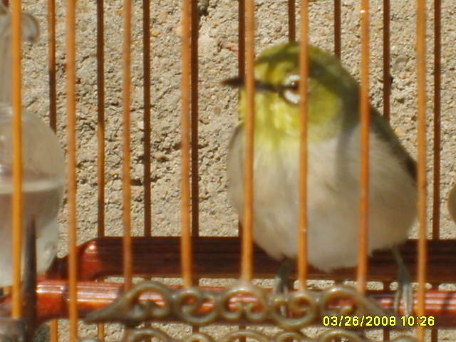 S5001083.JPG