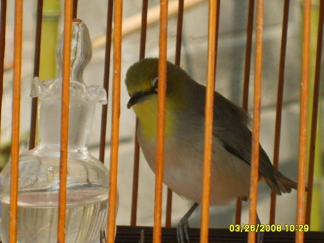 S5001091.JPG