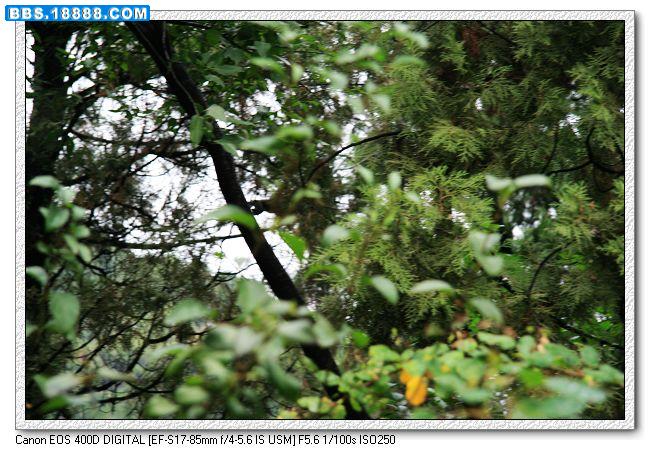 IMG_0114_nEO_IMG.jpg