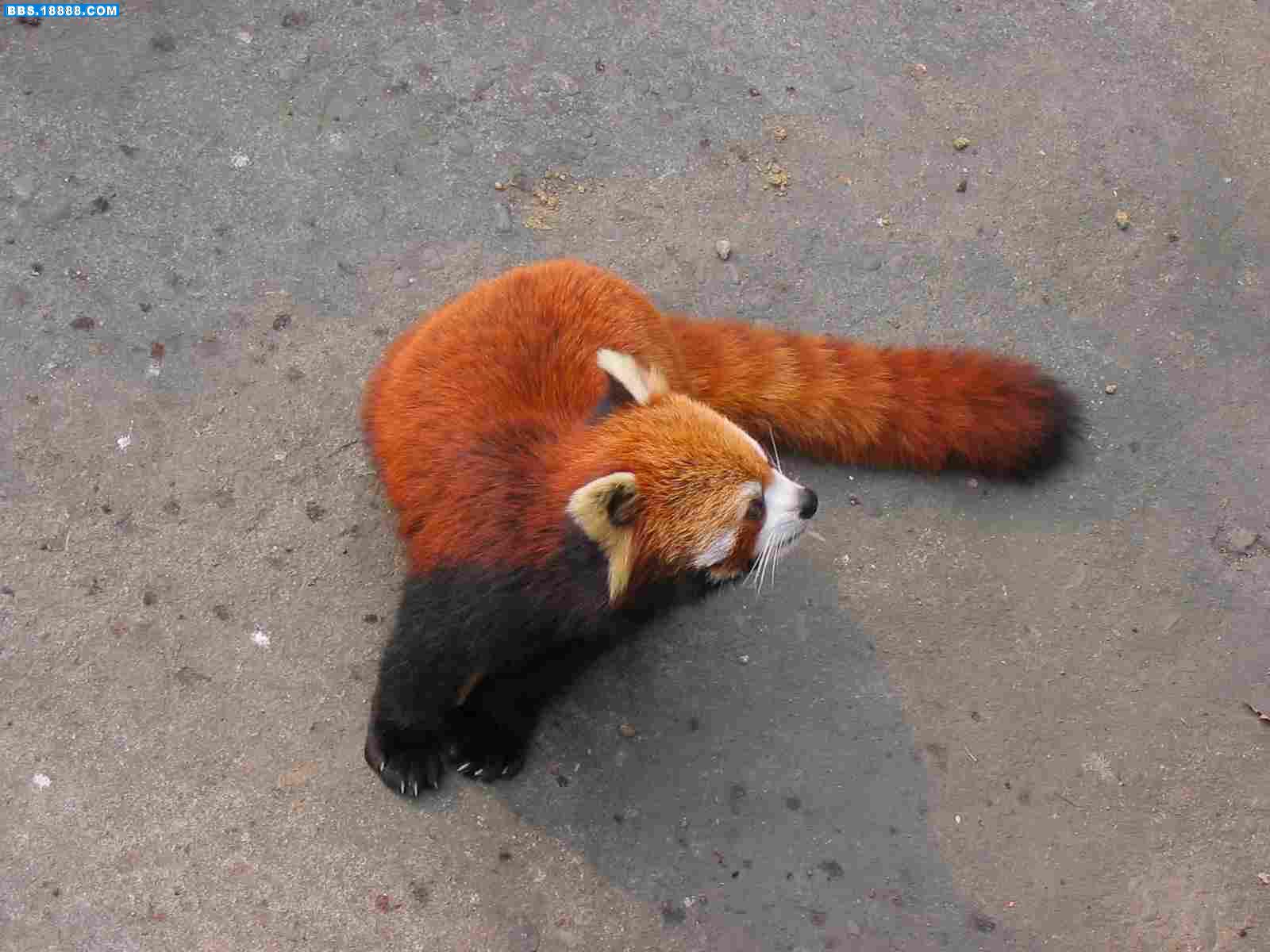 照片 068.jpg