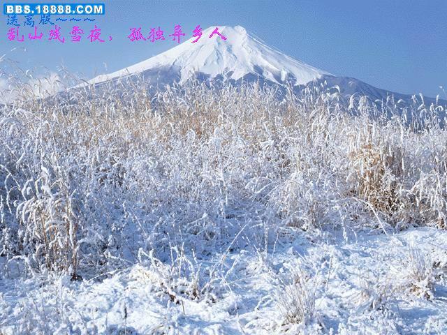 高版2.jpg