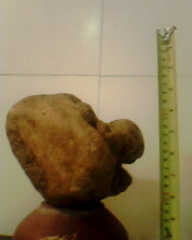 IMG0339A.jpg