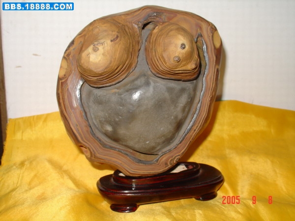 2006020402260271.jpg