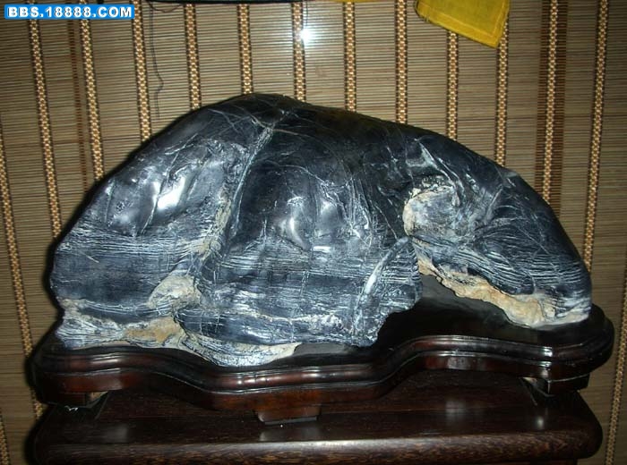 DSCN5635.jpg