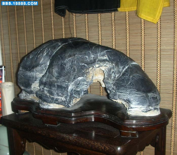 DSCN5636.jpg