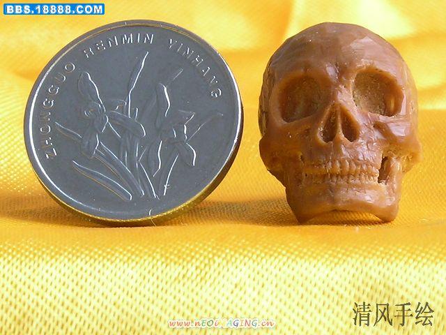 照片 292.jpg
