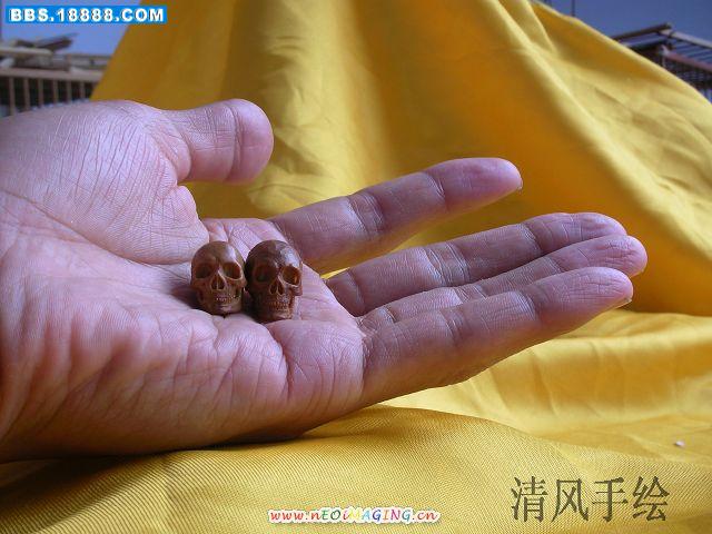 照片 312.jpg
