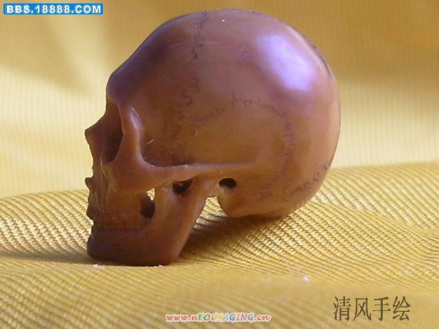 照片 294.jpg