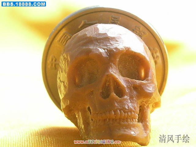 照片 288.jpg