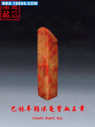 P1020195.jpg
