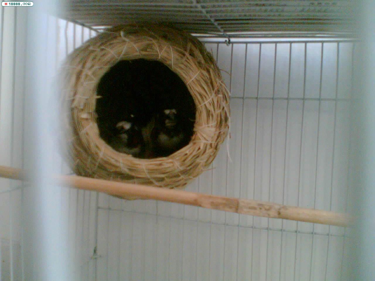 Image(006).jpg
