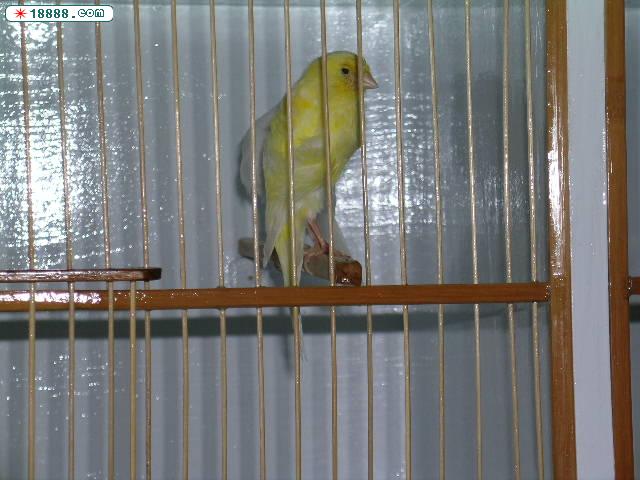 DSCN1656.JPG