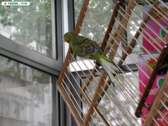 DSCN1658.JPG