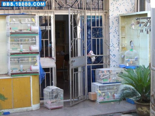 CIMG0282_调整大小.JPG