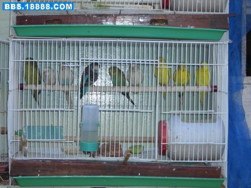 CIMG0257_调整大小.JPG