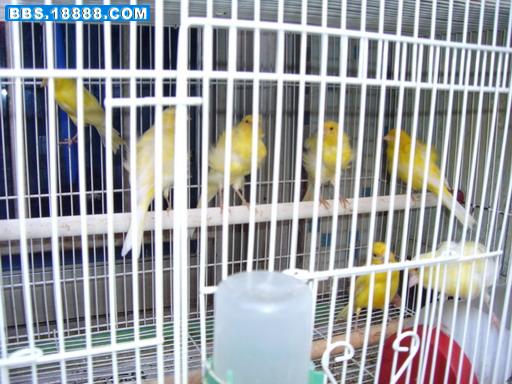 CIMG0268_调整大小.JPG