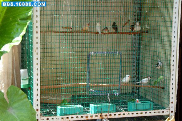 DSC_0026-ok-a-1.jpg