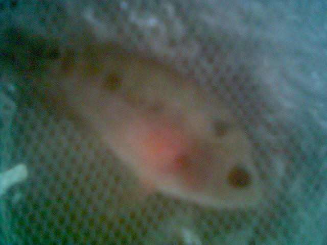 0101_133427.jpg