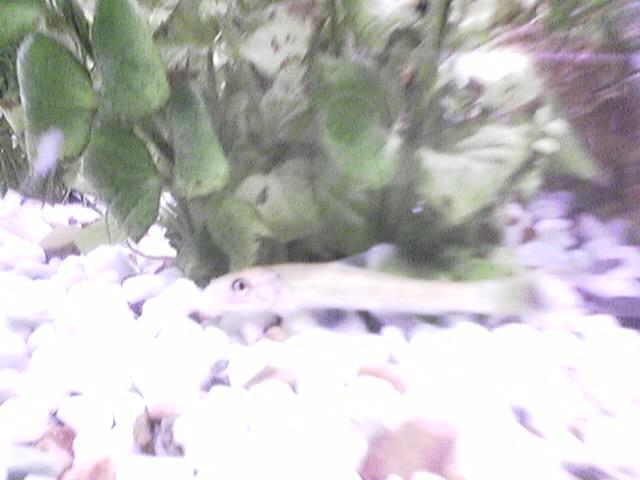 照片0221.jpg