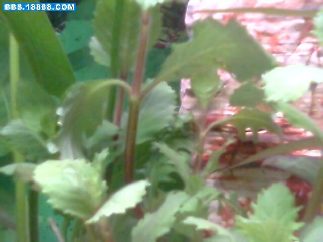 照片 032.jpg