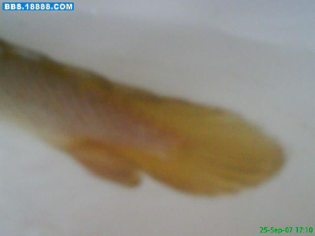 DSC00371.JPG