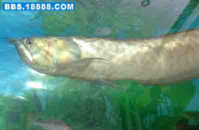 200778231850.jpg