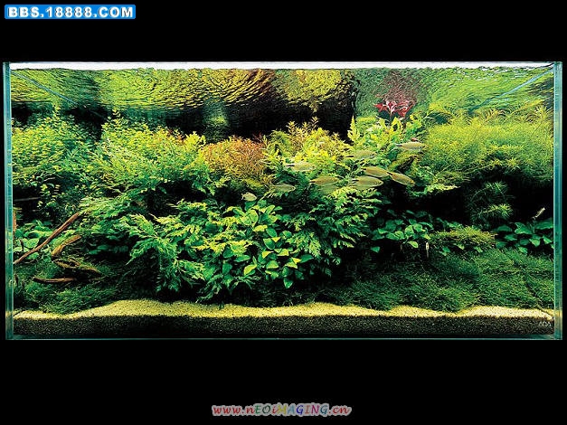gallery_06a.jpg