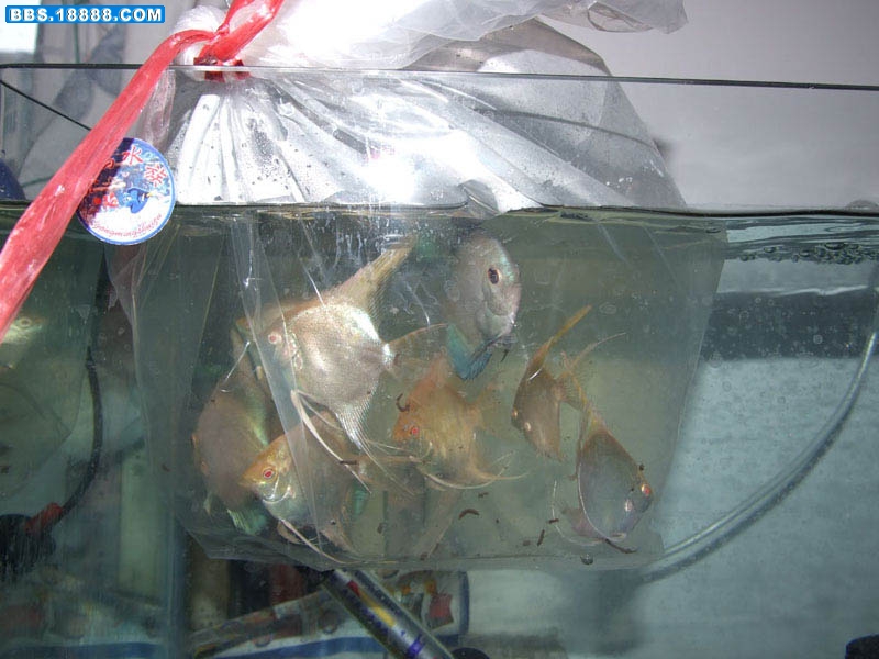 过水1.jpg