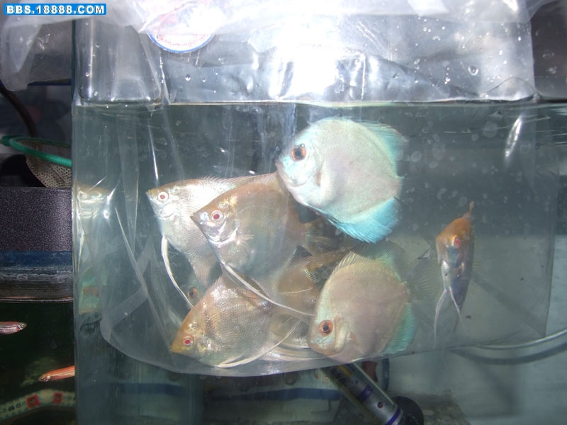 过水5.jpg