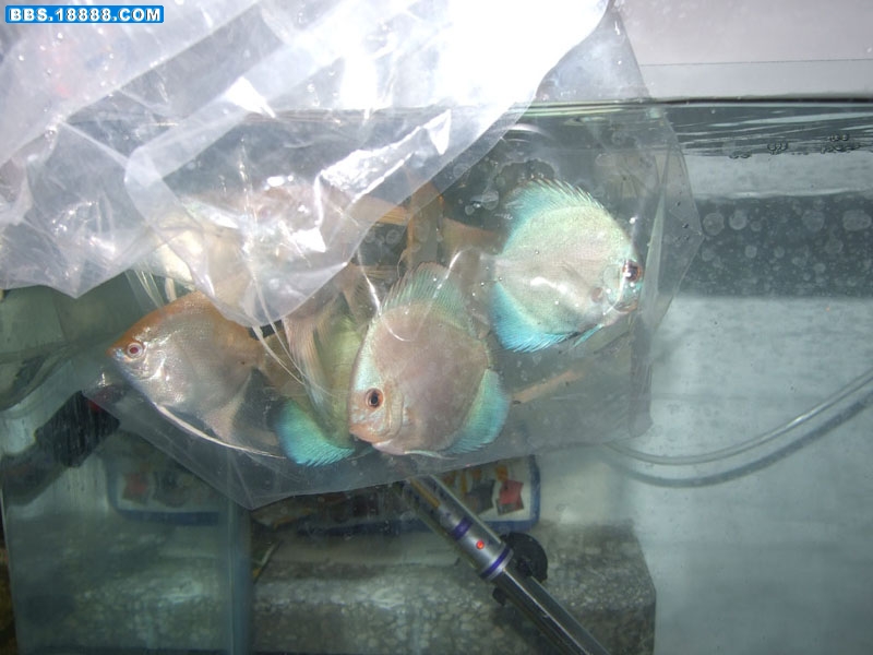 过水4.jpg