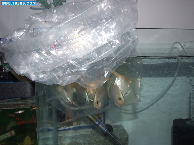 过水3.jpg