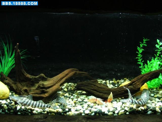 照片 037.jpg