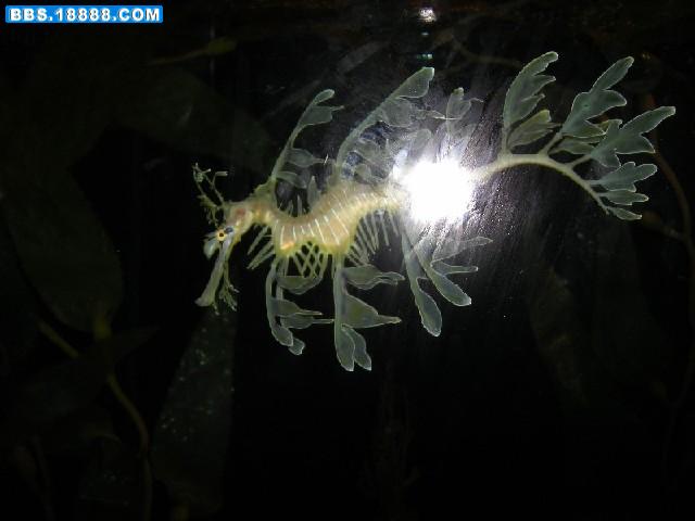 照片 088.jpg